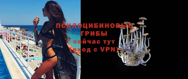 спиды Беломорск