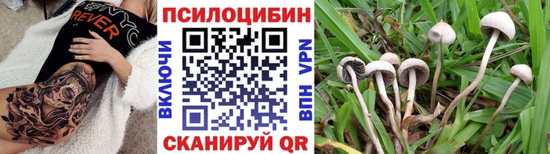 как найти закладки  ОМГ ОМГ как зайти  маркетплейс клад  Могоча  Псилоцибиновые грибы MAGIC MUSHROOMS 
